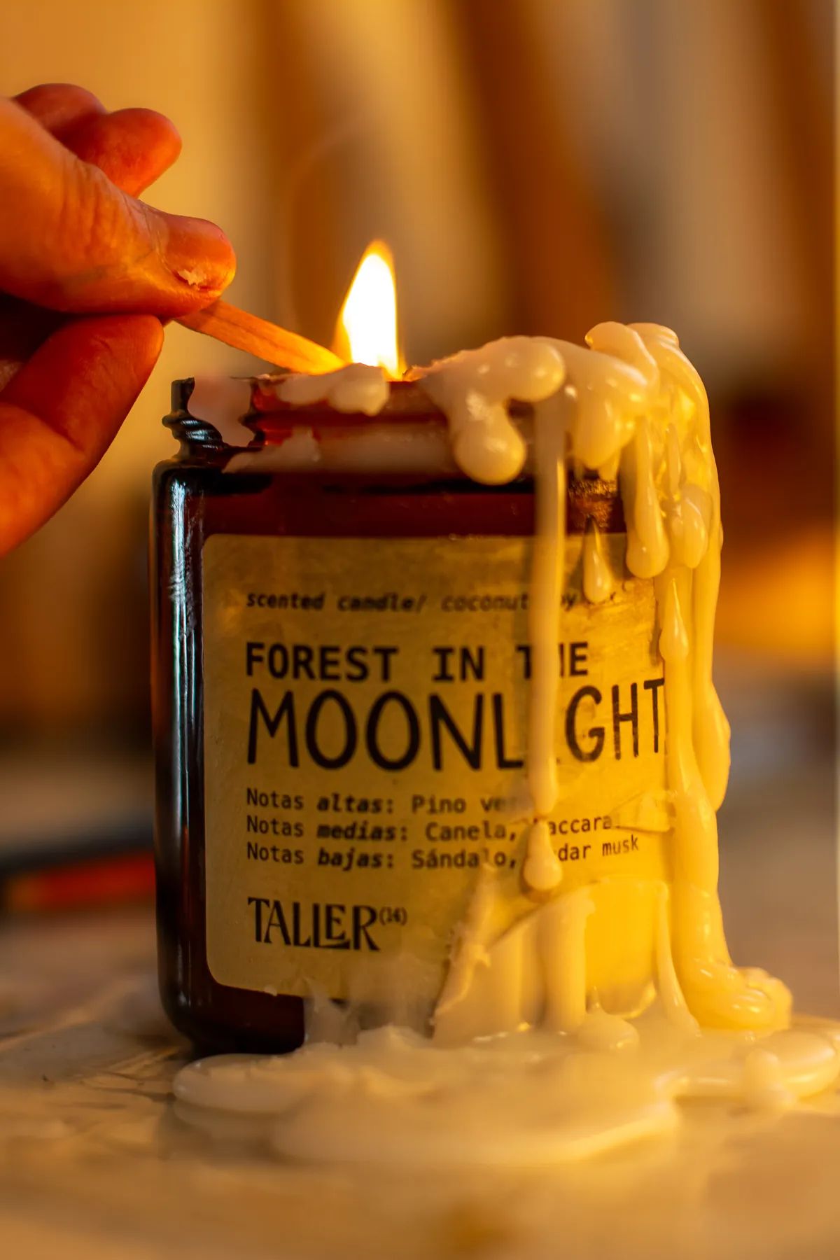 Forest in the Moonlight — vela inspirada en un bosque nocturno